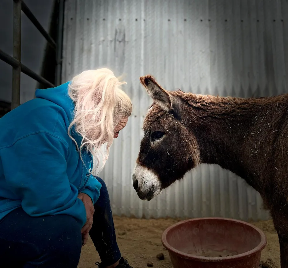 A volunteer sharing a quiet moment with Ella, a rescued mini donkey